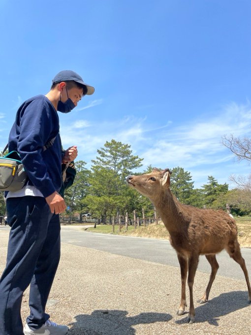 福島大学で奈良のシカの研究が発表されていましたが、去年奈良に行った時を思い出した。「君の名は?」 福島大学で奈良のシカの研究が発表されていましたが、去年奈良に行った時を思い出した。「君の名は?」