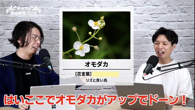#オタクの自由研究ラジオ 花言葉回の第7回を更新!・気づけたらすごい! #リズと青い鳥 の名シーンで一瞬映る水槽の秘密! #オタクの自由研究ラジオ 花言葉回の第7回を更新!・気づけたらすごい! #リズと青い鳥 の名シーンで一瞬映る水槽の秘密!