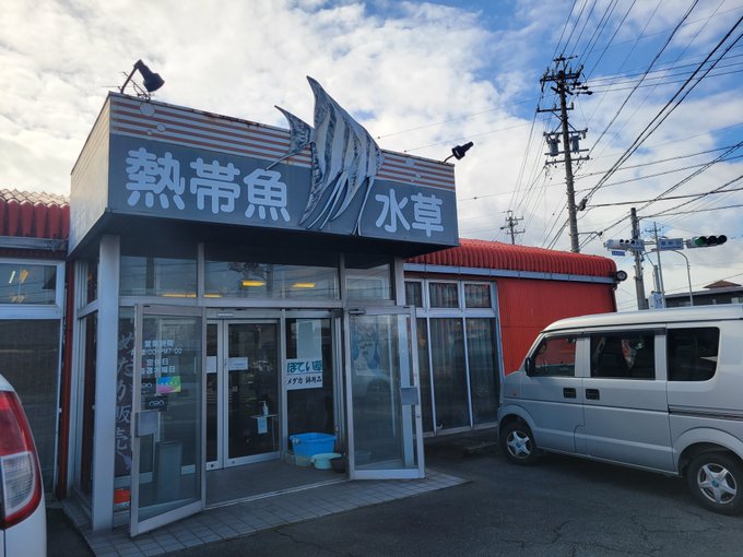 久々に弥富フィッシュにお邪魔しました!本当にここたまーに来ると、お宝があるよなぁ🤤自分が水槽あったら、欲しい魚が格安で売 久々に弥富フィッシュにお邪魔しました!本当にここたまーに来ると、お宝があるよなぁ🤤自分が水槽あったら、欲しい魚が格安で売