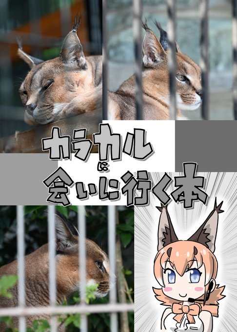 カラカルに会いにいく本 1/4三重の大内山と五桂池のカラカルメイン先週のフレチで配布したコピ本です渋でもみれるよ #けも カラカルに会いにいく本 1/4三重の大内山と五桂池のカラカルメイン先週のフレチで配布したコピ本です渋でもみれるよ #けも