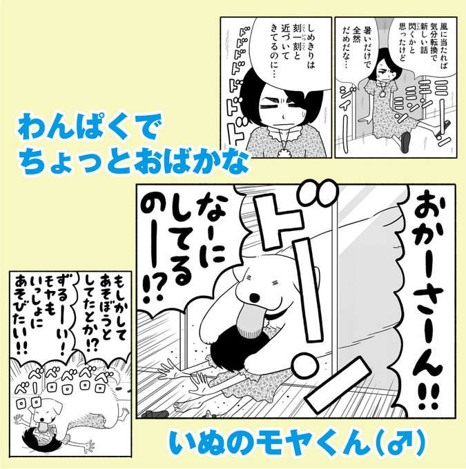 『いとしのムーコ』のみずしな孝之最新作はいぬねこ多頭飼い🐶🐱#きりもやびより#イブニング#コミックDAYS 『いとしのムーコ』のみずしな孝之最新作はいぬねこ多頭飼い🐶🐱#きりもやびより#イブニング#コミックDAYS