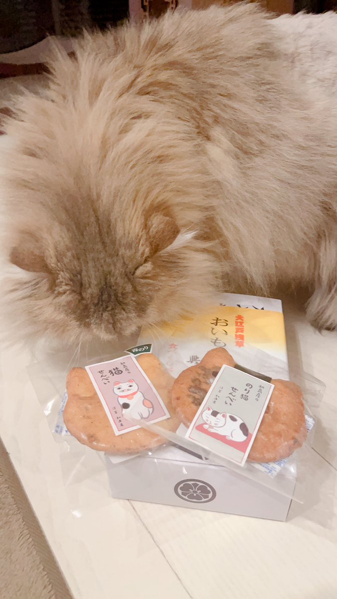 test ツイッターメディア - 今日の浅草のお土産。

おいもさん(大学芋)と猫の形の煎餅🍘 https://t.co/R7difSUQ0a