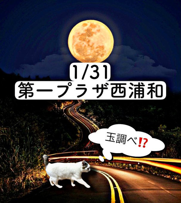 1/31の猫稼働🐈🐈🐈猫3匹第一プラザ西浦和玉調べ(2回目)主なエサ場🎣パチ) 5台並び×3箇所以上🈶勝手に🐱ランキン 1/31の猫稼働🐈🐈🐈猫3匹第一プラザ西浦和玉調べ(2回目)主なエサ場🎣パチ) 5台並び×3箇所以上🈶勝手に🐱ランキン