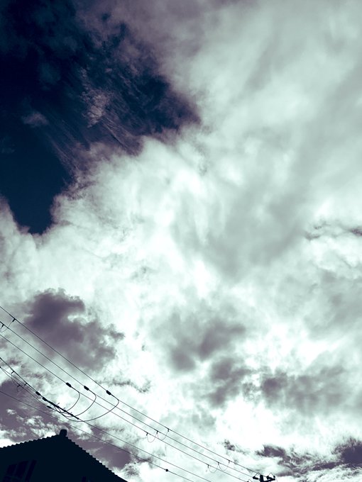 世界はそれでも美しいことを知らなくてもいいことがたくさんあることをラララ#写真 #写真が好きな人と繋がりたい #キリトリ 世界はそれでも美しいことを知らなくてもいいことがたくさんあることをラララ#写真 #写真が好きな人と繋がりたい #キリトリ