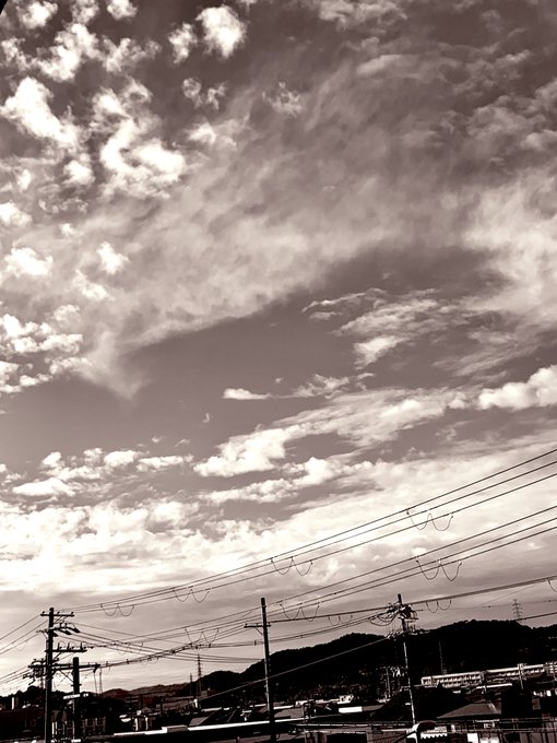 空からふるのは夢だけじゃないんだ半分の林檎君にあげよう#写真 #写真が好きな人と繋がりたい #キリトリセカイ #ファイン 空からふるのは夢だけじゃないんだ半分の林檎君にあげよう#写真 #写真が好きな人と繋がりたい #キリトリセカイ #ファイン
