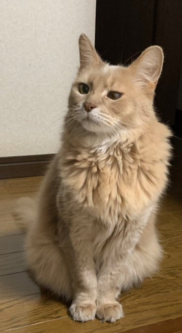 ちおちゃんの通学路 見てたらこんな時間になったので 男子高校生の日常 を見てますちおちゃん2期見たいなぁ ちおちゃんの通学路 見てたらこんな時間になったので 男子高校生の日常 を見てますちおちゃん2期見たいなぁ