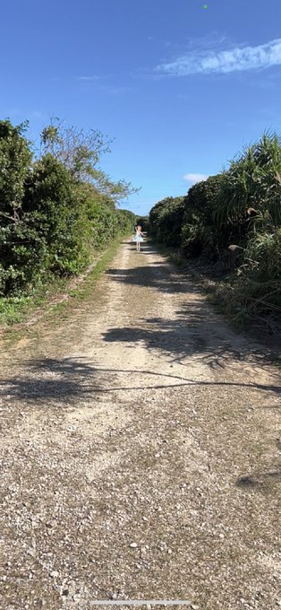 これは幼い頃、つまらなかった田舎での夏、優しくしてくれた、今はもう会えない近所のお姉ちゃん若林智香概念。聞こえてくる声、 これは幼い頃、つまらなかった田舎での夏、優しくしてくれた、今はもう会えない近所のお姉ちゃん若林智香概念。聞こえてくる声、