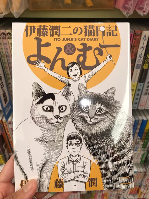 おはようございます!今朝のスッキリ!「猫の日」特集でしょこたんが『#伊藤潤二 の猫日記 よん&むー』を紹介された おはようございます!今朝のスッキリ!「猫の日」特集でしょこたんが『#伊藤潤二 の猫日記 よん&むー』を紹介された