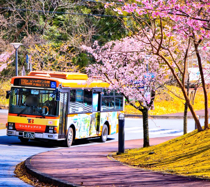 2023/3/10東海バスあまんちゅラッピング2号車×大寒桜🌸※モザイク加工してます #あまんちゅ  #東海バス  #路