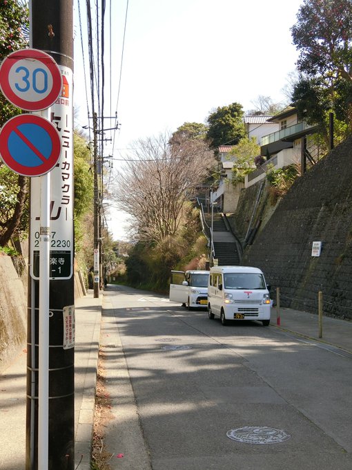 成就院の境内に入り由比ヶ浜海水浴場を俯瞰したところを撮影#鎌倉市#青い花#きみの声をとどけたい 成就院の境内に入り由比ヶ浜海水浴場を俯瞰したところを撮影#鎌倉市#青い花#きみの声をとどけたい