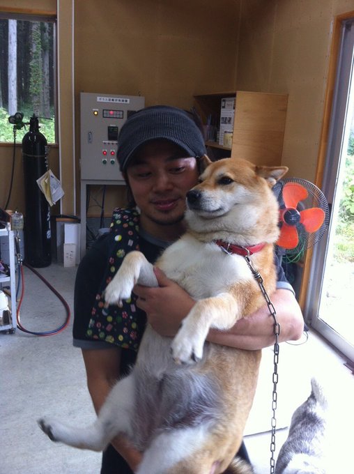 13年前に初めてヴェトロに訪れた時に撮った1枚。ムーコ、コマツさんに出会えて良かったね。虹の橋でポコと元気に走り回りなが 13年前に初めてヴェトロに訪れた時に撮った1枚。ムーコ、コマツさんに出会えて良かったね。虹の橋でポコと元気に走り回りなが
