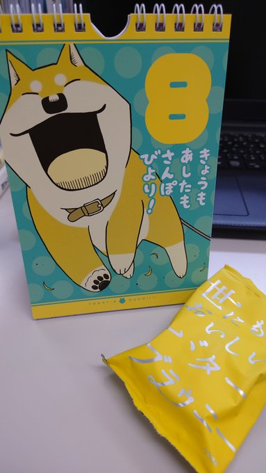 『いとしのムーコ』カレンダー、たまたまイエロー系だった😍 『いとしのムーコ』カレンダー、たまたまイエロー系だった😍