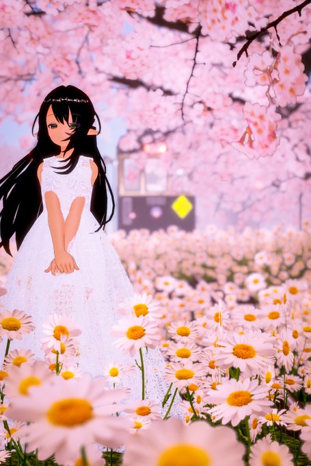 「別れの桜」卒業、就職、上京のイメージ引用元の別アングルですworld:Charlotte's SAKURA Islan
