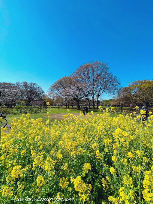 おはようございます#侍ジャパン　世界一最高でした🎉🎉🎉にわかですがくぎ付け！楽しかった(≧∇≦)そして中居くんお疲れさま