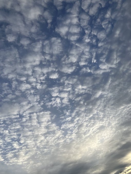 雨上がり おはようじゃ山にはもやがかかっとる雲は刻刻と形と色を変えておるんじゃ今、目の前でとんびが歌いながら低空飛行悠々 雨上がり おはようじゃ山にはもやがかかっとる雲は刻刻と形と色を変えておるんじゃ今、目の前でとんびが歌いながら低空飛行悠々