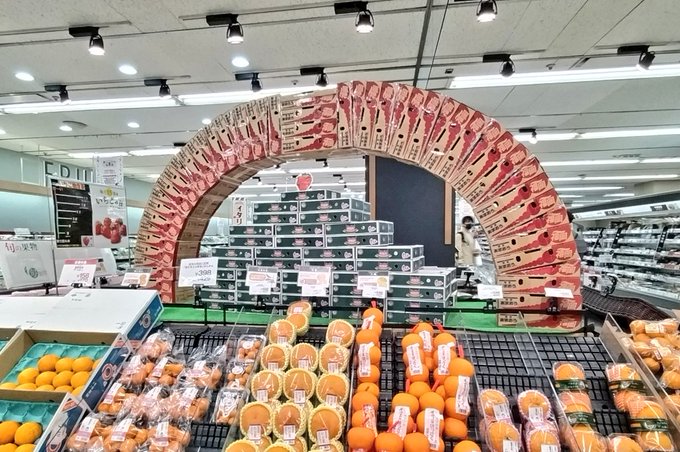 デンキ街の本屋さんで見たやつだ!! デンキ街の本屋さんで見たやつだ!!