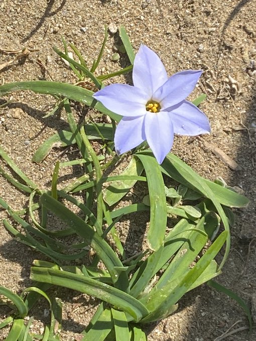  この世界の片隅に🌸 