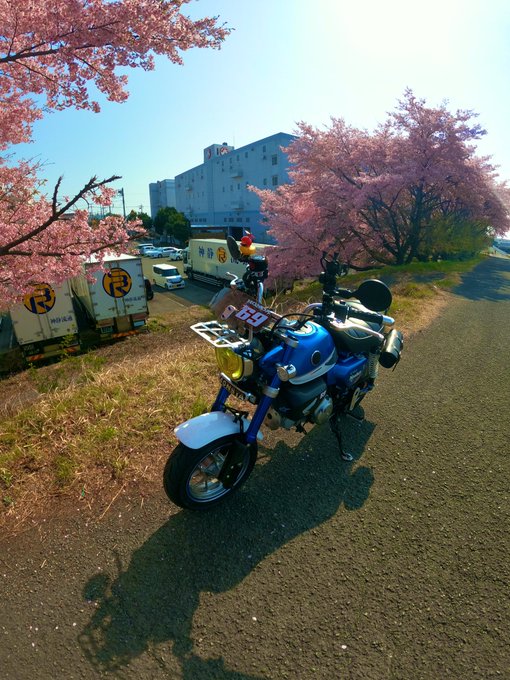 血で血を洗うおかしな奴らいくらやられても不死身な悪魔魂売り渡した日本のギャングスタ季節はずれに咲く凶気の桜怖ぇもん無し命 血で血を洗うおかしな奴らいくらやられても不死身な悪魔魂売り渡した日本のギャングスタ季節はずれに咲く凶気の桜怖ぇもん無し命
