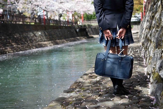 四季の広場（岐阜県大垣市）もうそろそろですね、ここの桜は。桜、映画公開から7回目となりますね。＃聲の形 