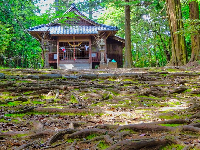 「永江 雨宮神社(トトロの森)」（熊本県）里山風景の中にこんもり盛り上がった小さな森があります。トトロの森と呼ばれており
