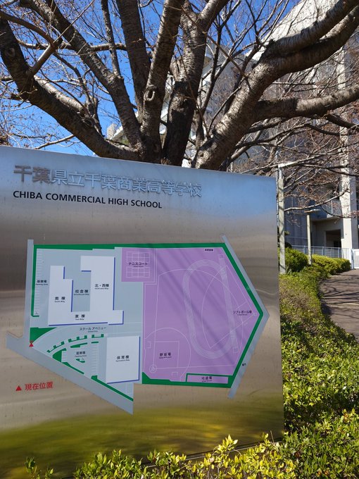 俺妹の聖地千葉県立千葉商業高校。#千葉市#稲毛区#松波#俺の妹がこんなに可愛いわけがない#俺妹 俺妹の聖地千葉県立千葉商業高校。#千葉市#稲毛区#松波#俺の妹がこんなに可愛いわけがない#俺妹