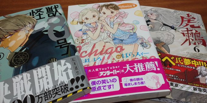 葬送のフリーレンの新刊を二冊買ってしまった…予約して買うと忘れる…怪獣８号ととらつぐみの新刊も嬉しい。そしてどうした…苺