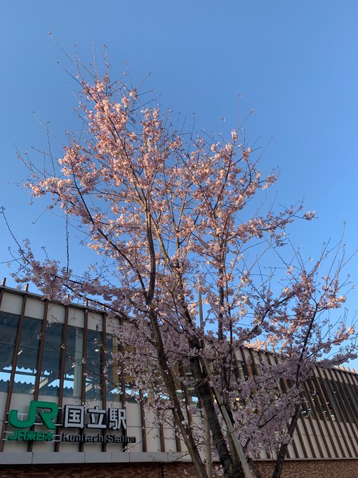 #魔女の宅急便 #めぐる季節#海の見える街#井上あずみ#桜#国立駅#自撮り#色鉛筆 #アナログイラスト#絵描きさんと繋が #魔女の宅急便 #めぐる季節#海の見える街#井上あずみ#桜#国立駅#自撮り#色鉛筆 #アナログイラスト#絵描きさんと繋が