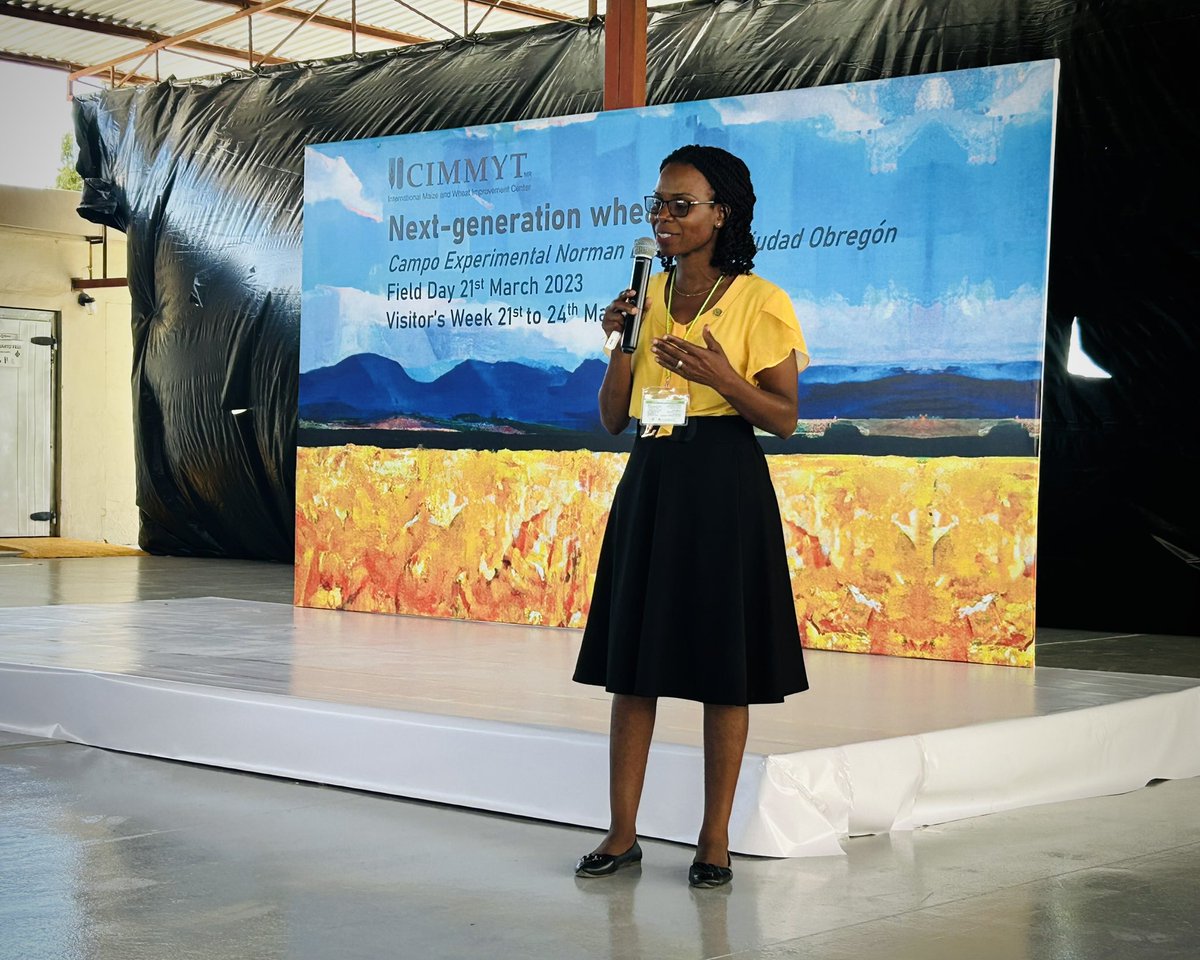 test Twitter Media - 2021 WIT awardee Batiseba Tembo giving an important update on Wheat Blast in Zambia at @CIMMYT Field Day. #comewheatus https://t.co/kQtW5QQMo7