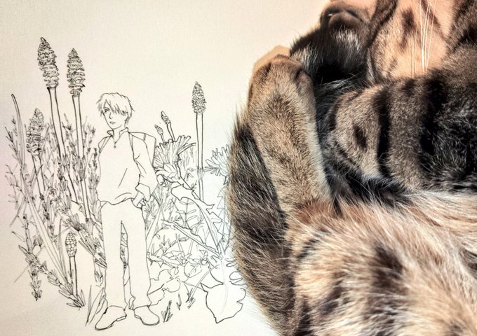 蟲師 ギンココピックマルチライナー黒 0.05仕事の忙しさにかまけていたら、いつの間にか春になってしまいました。 蟲師 ギンココピックマルチライナー黒 0.05仕事の忙しさにかまけていたら、いつの間にか春になってしまいました。