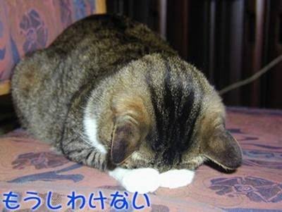 遅ればせながらログインしておりますちと体調よろしくないのでソフドリ営業いたしやすハヤテと2人で待ってますん 遅ればせながらログインしておりますちと体調よろしくないのでソフドリ営業いたしやすハヤテと2人で待ってますん