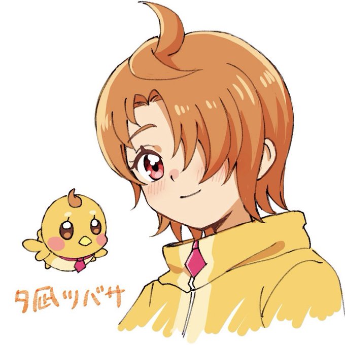夕凪ツバサくん🐥 #precure 夕凪ツバサくん🐥 #precure