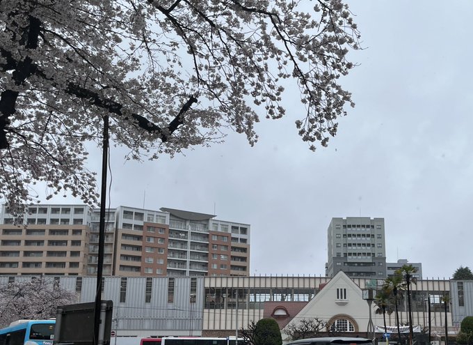 今日はヲタ活は無く、この街に。桜の時期は久しぶりだけど生憎の雨☔️おおかみこどもの雨と雪に出た喫茶店は立て替え工事中。🚧