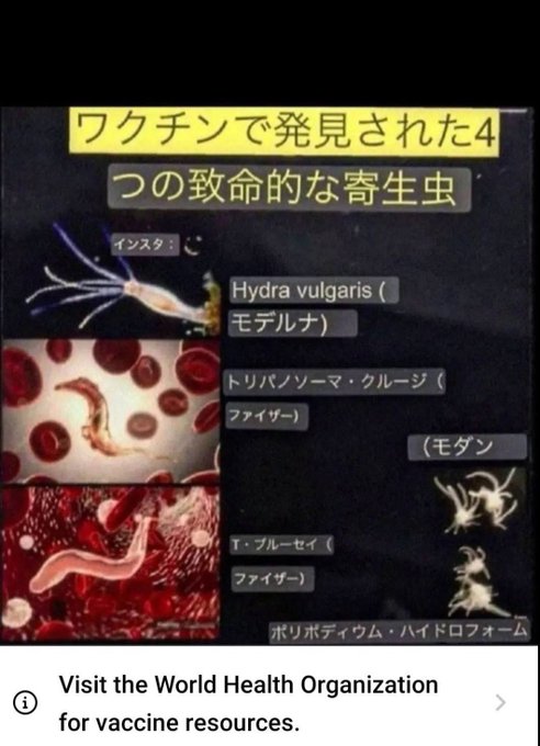 ヒドラトリパソーマクルージタナトスブルーセイポリポディアム全てゴルゴン(レプティリアル)系の寄生体、やはりワクチンこそが ヒドラトリパソーマクルージタナトスブルーセイポリポディアム全てゴルゴン(レプティリアル)系の寄生体、やはりワクチンこそが