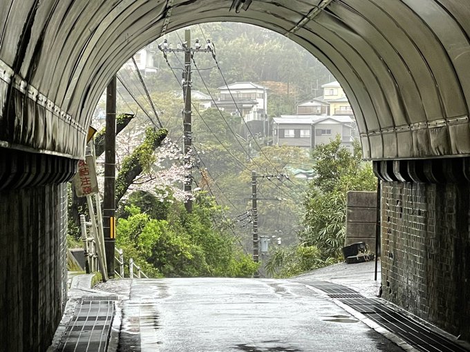 アニメ『たまゆら』の舞台のひとつ、横須賀の汐入。坂本隧道を抜けた先にある桜は作品中でも印象的でしたが、今は大きく伐採され
