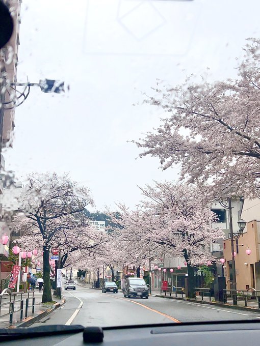わたしが好きな街、聖蹟桜ヶ丘(雨がひどい…)3枚目ぶれぶれなんですけど耳をすませばに出てくるあのロータリーです わたしが好きな街、聖蹟桜ヶ丘(雨がひどい…)3枚目ぶれぶれなんですけど耳をすませばに出てくるあのロータリーです