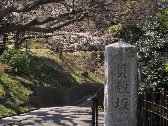 金色のコルダ３のゲーム内展開で描かれた、肝試しの場所のような貝殻坂の桜です。横浜の山手の台地から、元町公園の墓地側に沿っ