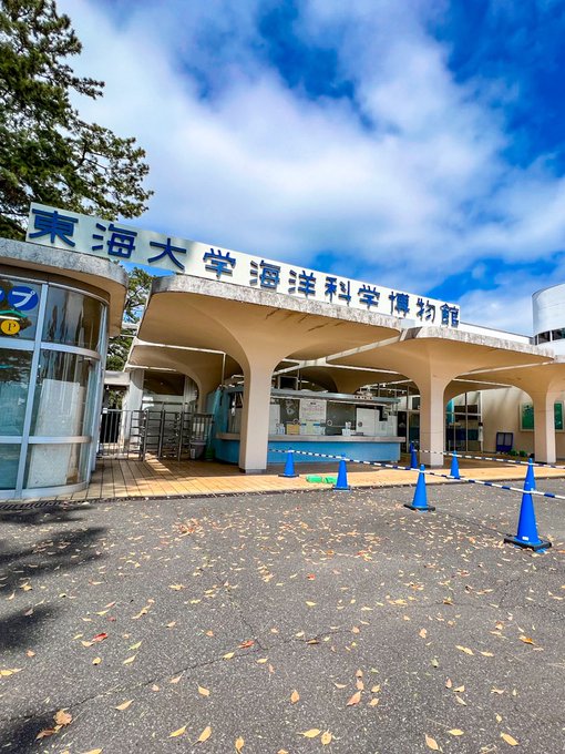 「ちびまる子ちゃん わたしの好きな歌」に出てくる水族館・東海大学海洋科学博物館に行ってきた!見覚えのある景色に「うおお😭 「ちびまる子ちゃん わたしの好きな歌」に出てくる水族館・東海大学海洋科学博物館に行ってきた!見覚えのある景色に「うおお😭