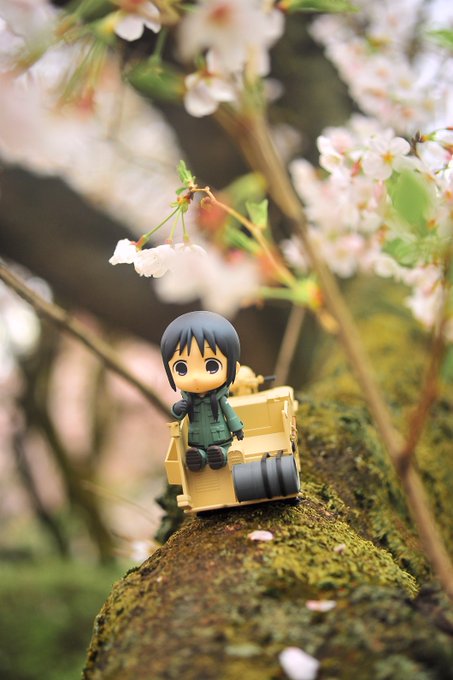 少女桜旅行チトさんぽ#少女終末旅行 #ねんどろいど 少女桜旅行チトさんぽ#少女終末旅行 #ねんどろいど