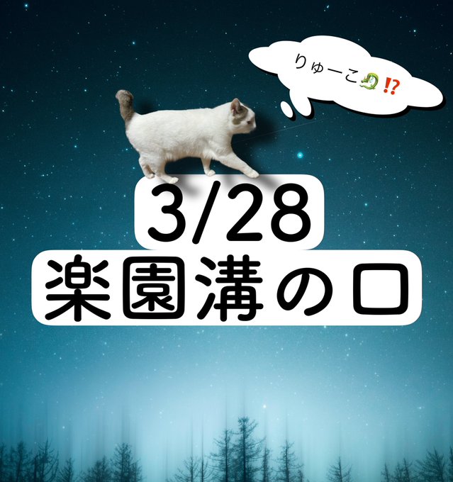 3/28の猫稼働🐈🐈🐈猫3匹楽園溝の口りゅーこ🐉 主なエサ場🍽🐡全⑤⑥×2機種以上🐠単品複数🈶前回の対象🐉沖ドキDUO 3/28の猫稼働🐈🐈🐈猫3匹楽園溝の口りゅーこ🐉 主なエサ場🍽🐡全⑤⑥×2機種以上🐠単品複数🈶前回の対象🐉沖ドキDUO