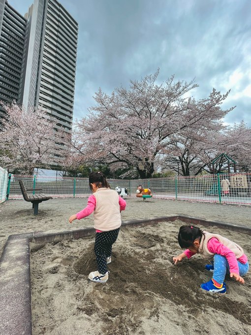【富士見市　南むさしの公園】電車がすぐ近くで見れる桜が綺麗整備された新しめの公園広さ小さい子にちょうどよい！走り回っても
