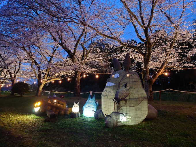 トトロと夜桜·滑川町のさくら祭りの設置作業中の最終試運転のライトアップのトトロたち。自宅裏の時とはまた違い桜と一緒は良い