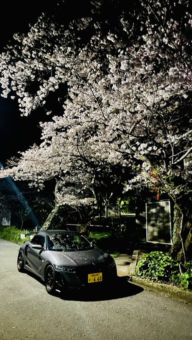 夜桜撮ってきた🌸夜桜四重奏ではことはが好きです #夜桜 