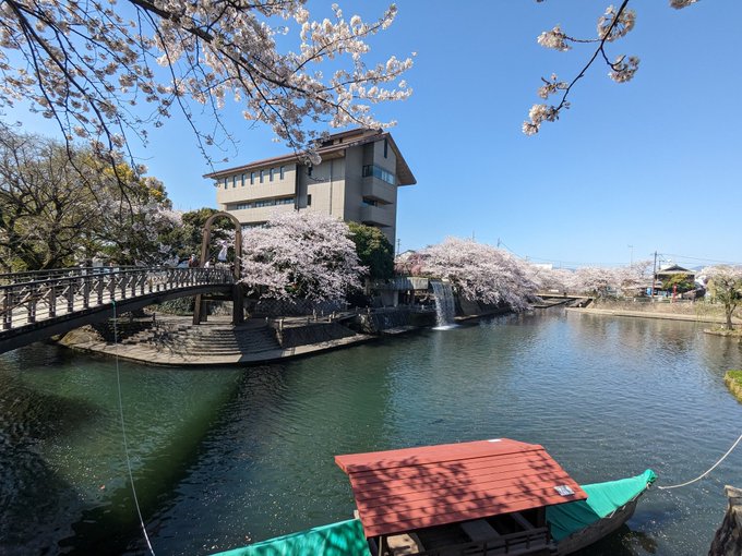 ただいま大垣🤗🌸🌸🌸The 満開🤗🌸🌸🌸🌸🌸🌸🌸🌸🌸🌸コレを見るために歯を食いしばって働いてきたんや😭😭😭#大垣 #聲の