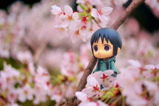 チトとユーリ…ユーリの何も考えてなさそうな顔が春っぽくていいねぇ…。#少女終末旅行 #ねんどろいど チトとユーリ…ユーリの何も考えてなさそうな顔が春っぽくていいねぇ…。#少女終末旅行 #ねんどろいど