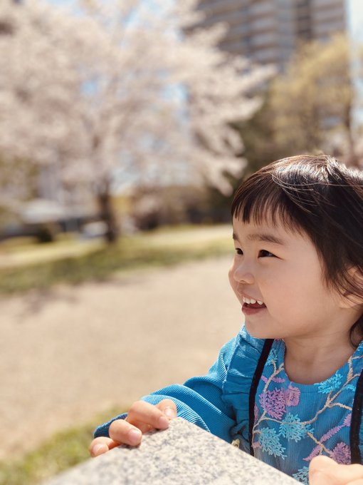 みんな出かけてぽつんとふたりぼっちになったので、弁当こさえてお花見🍙日本の春は最高だな^_^☆『海の見える街/魔女の宅急