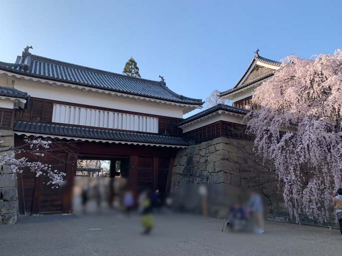 早朝から登山してたのは戸石城目指してました😢足くじいたので東京帰ります🏠風景はサマーウォーズのワンシーンと同じところでし