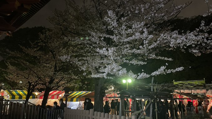 東京都内も各所で桜が満開です🌸先日は近くのお寺の花見縁日に遊びに行きました😊春になって桜を見ると、新海誠監督の「秒速５セ