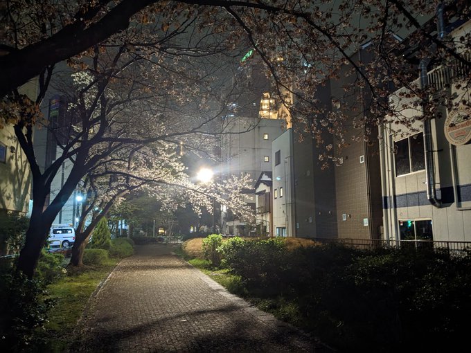 公園の桜の木の下に一人佇みながら秒速5センチメートルを見てる拗らせアカウント 