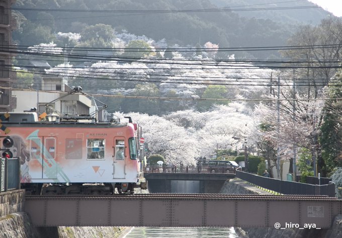 京阪大津線、響け！ユーフォニアム2022 ラッピング電車(617F)。29日は運行しない可能性が高い日だったが午後①出庫