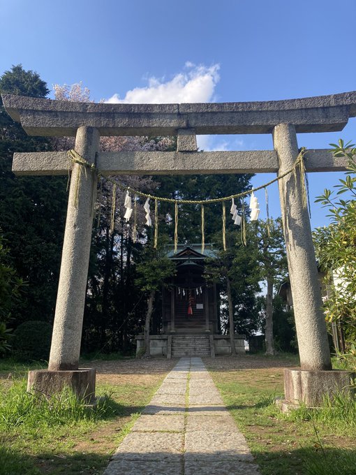 聖蹟桜ヶ丘 #耳をすませば のモデルとなった金比羅神社でおみくじひいたら大吉だった!桜も満開🌸 聖蹟桜ヶ丘 #耳をすませば のモデルとなった金比羅神社でおみくじひいたら大吉だった!桜も満開🌸